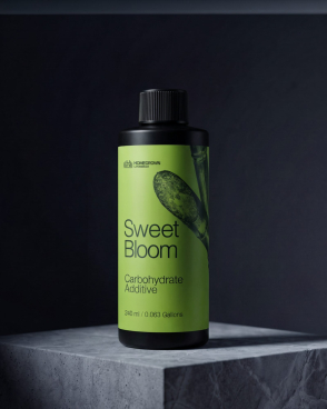 Sweet Bloom