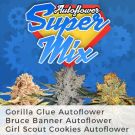 Autoflower Super Marijuana Seed Variety Pack