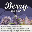 Berry Mix Pack Seed Variety Pack