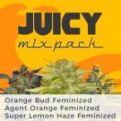 Juicy Mix Pack Seed Variety Pack