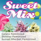 Sweet Mix Pack Seed Variety Pack
