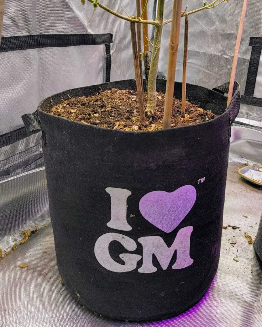 ILGM Fabric Pots