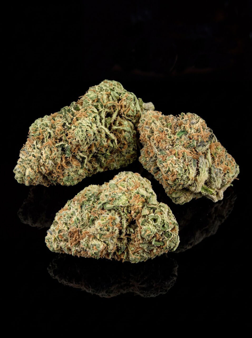 Green Crack x Somango Seeds