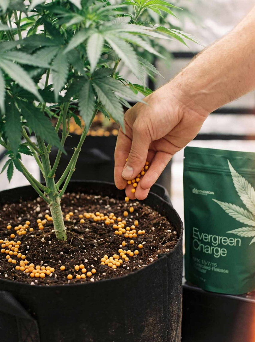 Seed to Harvest Grow Kit