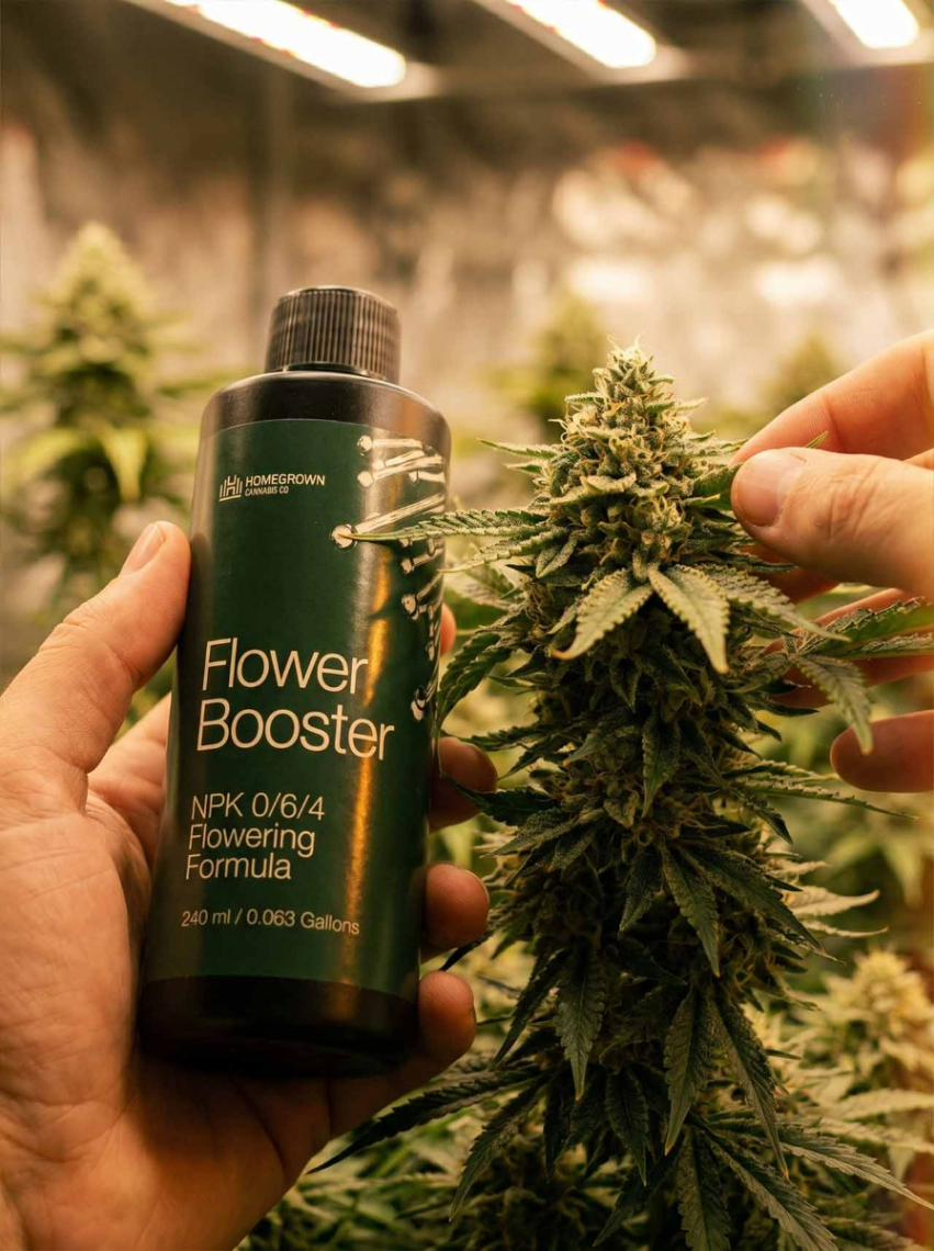 Cannabis Feeding System
