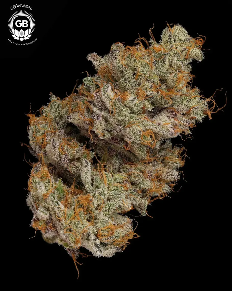LCGellyz Seeds