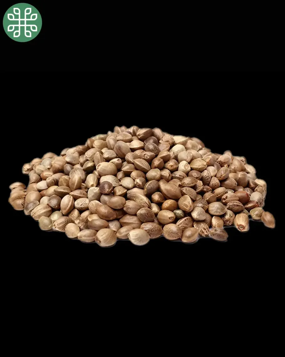 Yuzu Euphoria Autoflower Seeds
