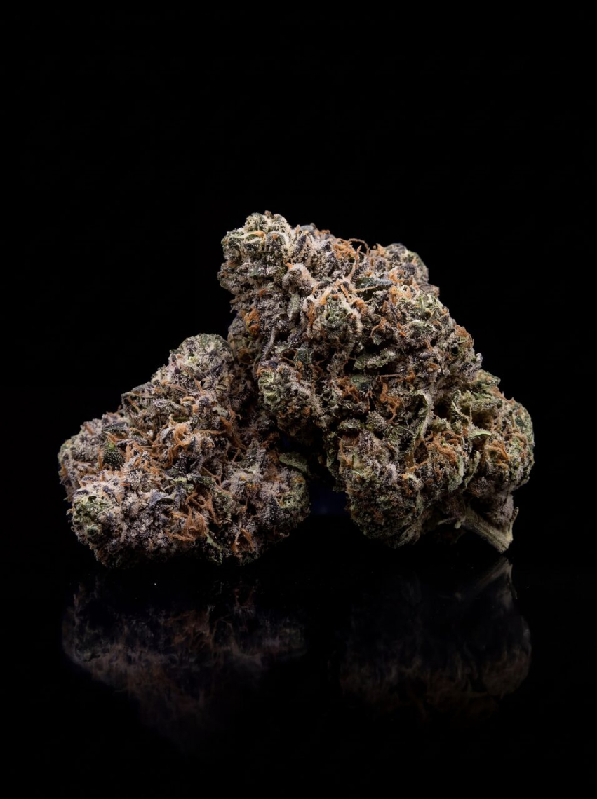 Snickerdoodle Seeds