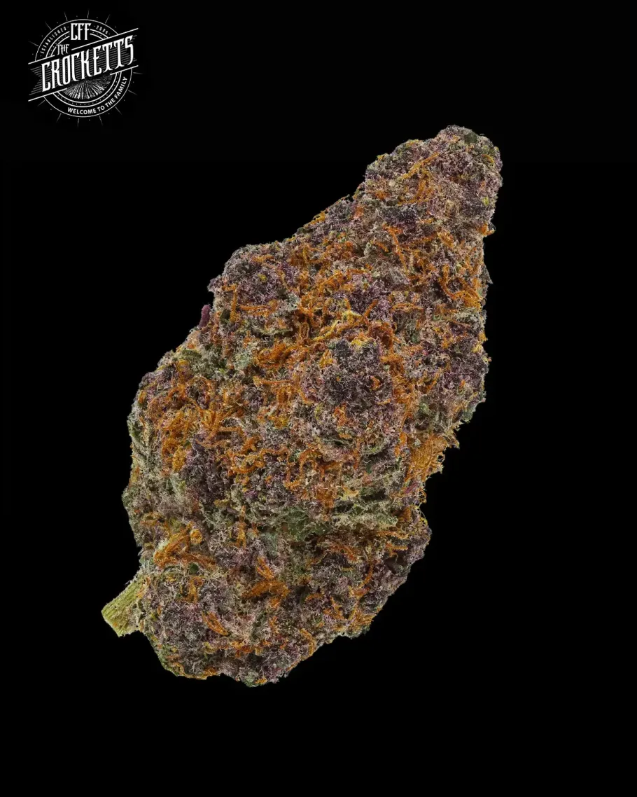 Tangie Queen Seeds