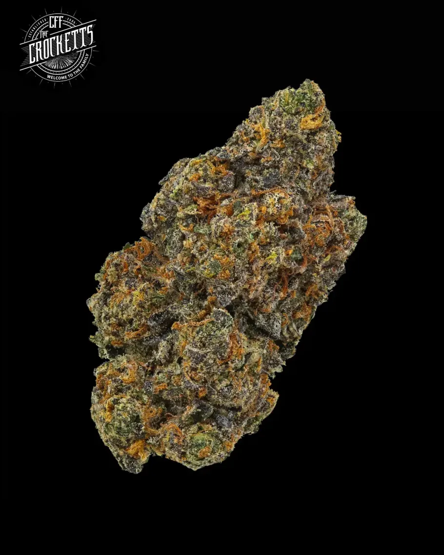Tangie Queen Seeds