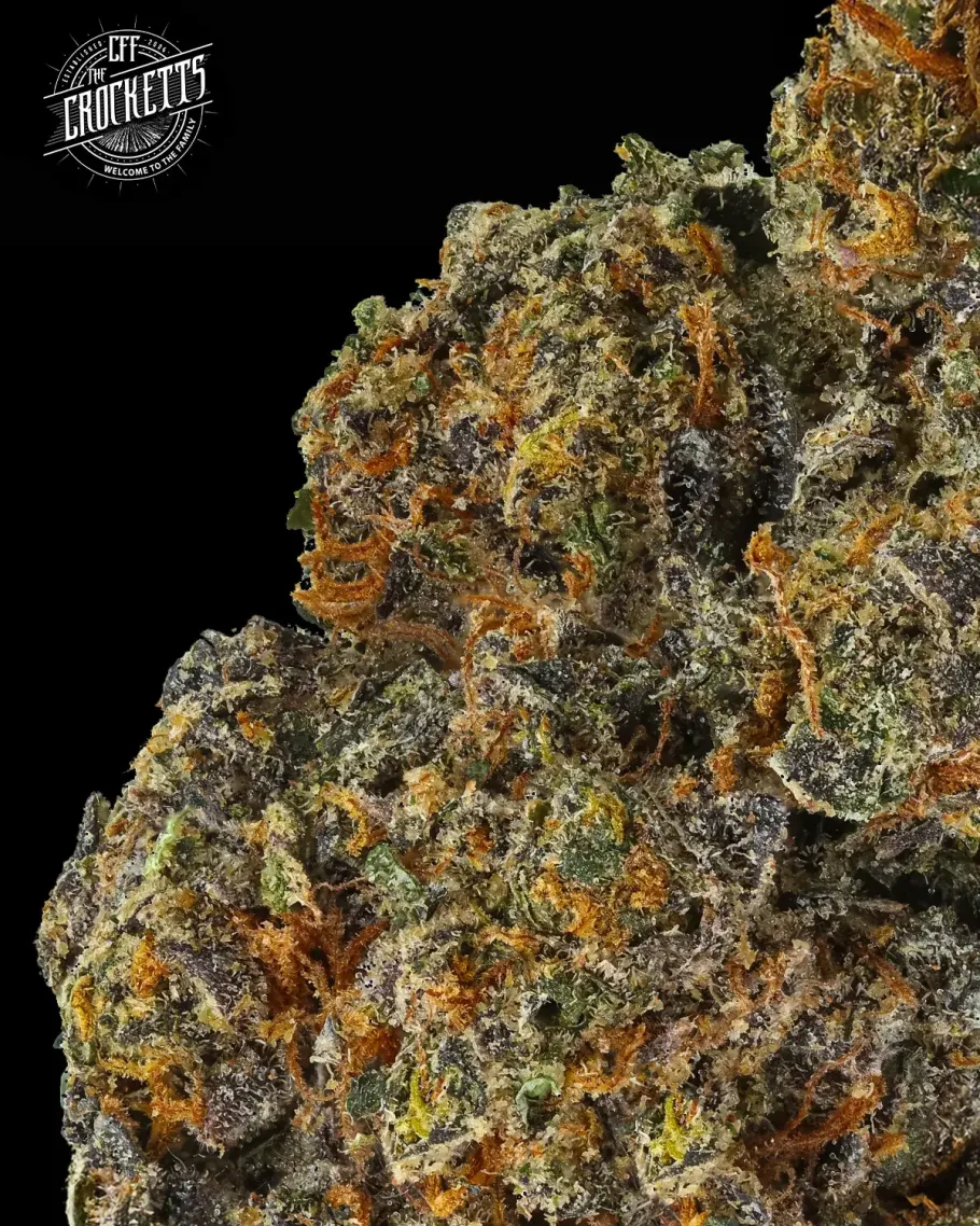 Tangie Queen Seeds