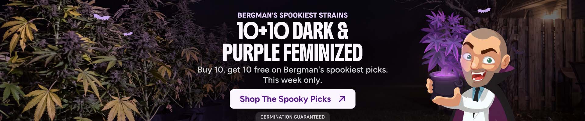 hero-banner