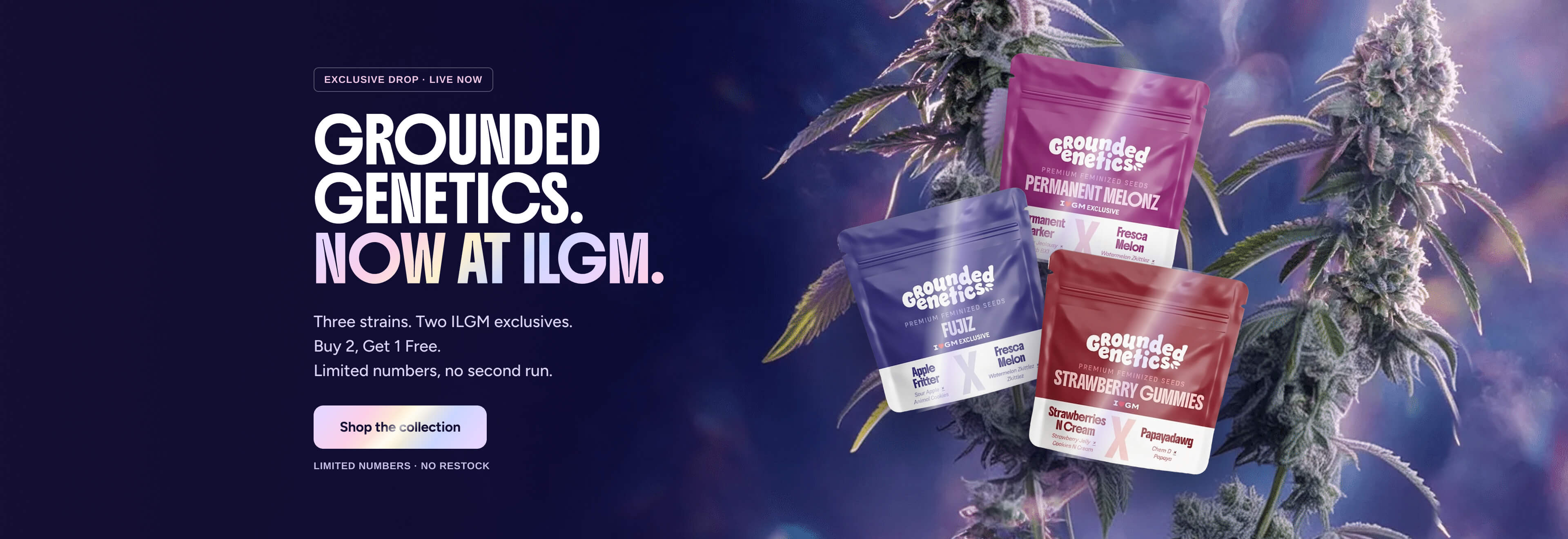 Exclusive drop · Live now. Grounded Genetics. Now at ILGM. Three strains. Two ILGM exclusives. Buy 2, Get 1 Free. Limited numbers, no second run.