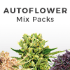 Autoflower Packs
