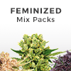 Feminized Packs