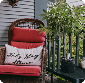 A Home-Grow Boom