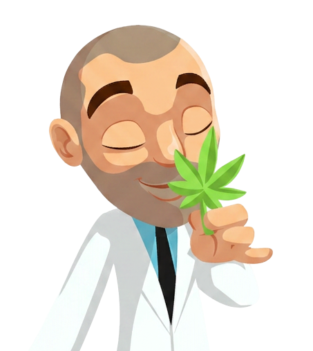 ILGM grower smelling a fresh cannabis leaf