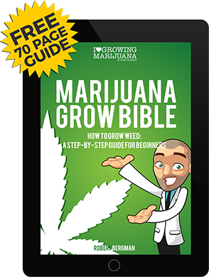 the cannabis grow bible pdf