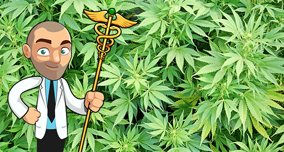 medical marijuana seeds
